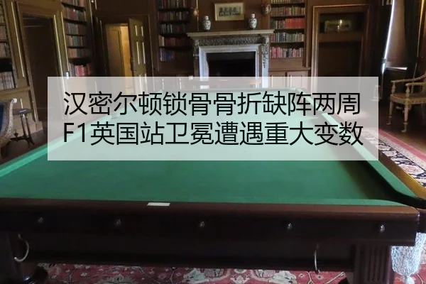 han-mi-er-dun-suo-gu-gu-zhe-que-zhen-liang-zhou-ying-guo-zhan-wei-mian-zao-yu-zhong-da-bian-shu-2-319.jpg