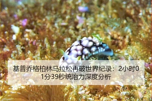 ji-pu-qiao-ge-bo-lin-ma-la-song-zai-po-shi-jie-ji-lu-xiao-shi-fen-miao-tong-zhi-li-shen-du-fen-xi-3-112.jpg